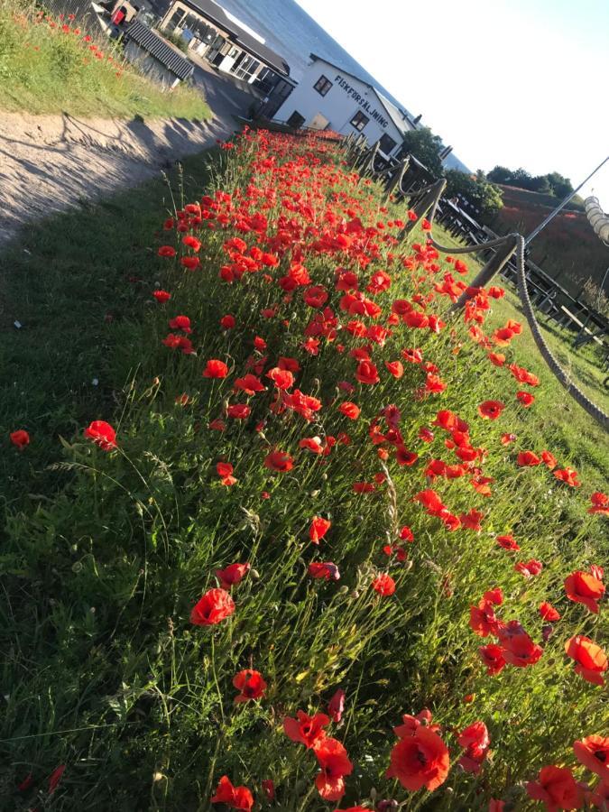 Botanikerns Hus Villa Löderup Kültér fotó
