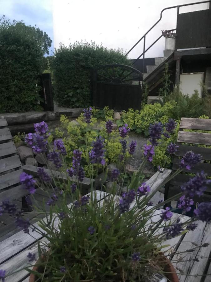 Botanikerns Hus Villa Löderup Kültér fotó